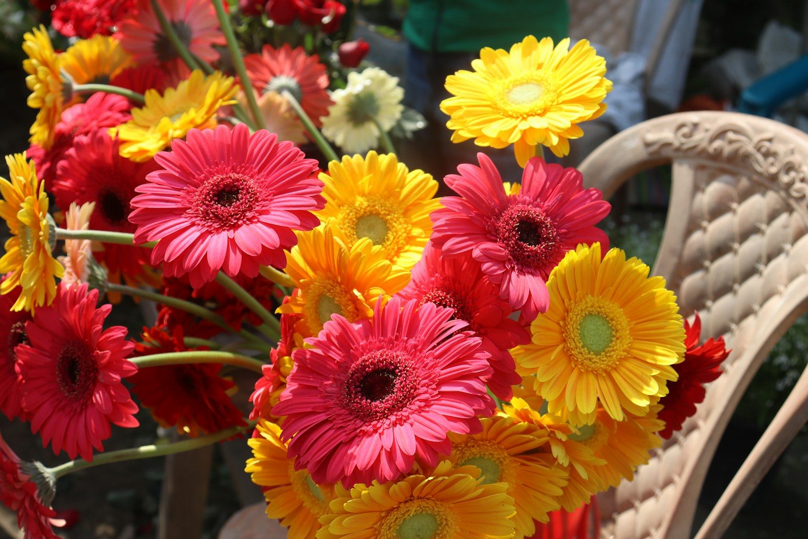 a bunch of colorful flowers in a vase